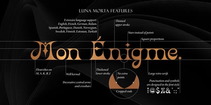 Luna Morta Mystical Font Poster 6