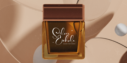 Tamylors Landry Font Poster 10