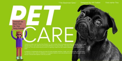 MixTina Font Poster 12