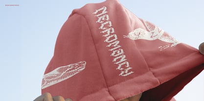 Karma Rivera Font Poster 7