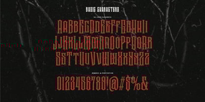 Bruno back Font Poster 8