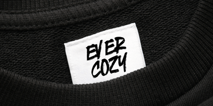 Endurance Gesture Font Poster 5