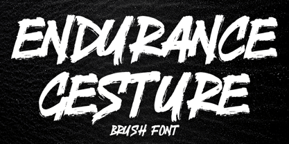 Endurance Gesture Font Poster 1