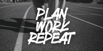 Endurance Gesture Font Poster 11