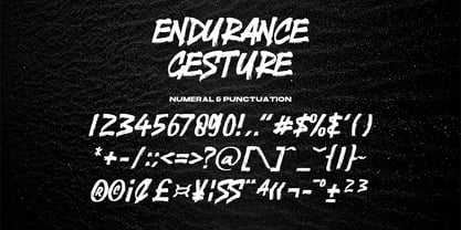 Endurance Gesture Font Poster 15