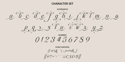 Rapiola Font Poster 13