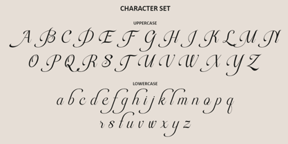 Rapiola Font Poster 12