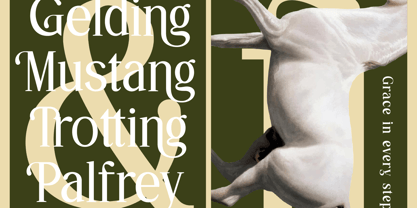 Gangors Font Poster 5