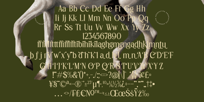 Gangors Font Poster 10