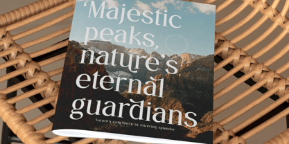 Gangors Font Poster 9