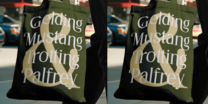 Gangors Font Poster 8