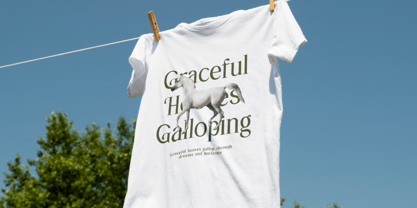 Gangors Font Poster 4