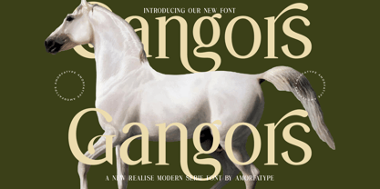 Gangors Font Poster 1