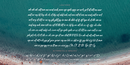 Oregoni Beach Font Poster 15