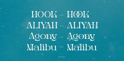 Merlo Rakasha Font Poster 6