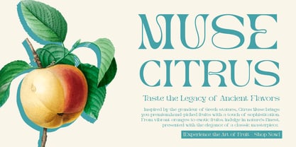 Merlo Rakasha Font Poster 4