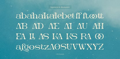 Merlo Rakasha Font Poster 13