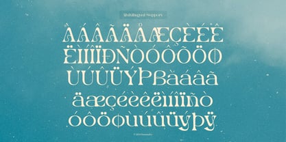 Merlo Rakasha Font Poster 12