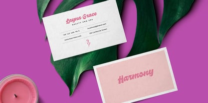 Briancy Font Poster 7