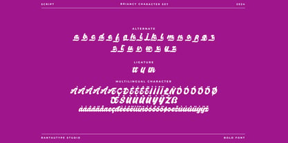 Briancy Font Poster 15