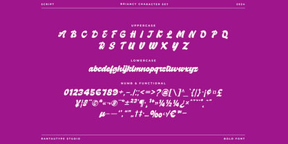 Briancy Font Poster 14