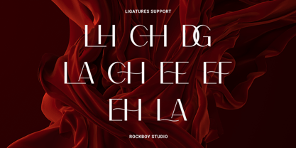 Vloreea Font Poster 11