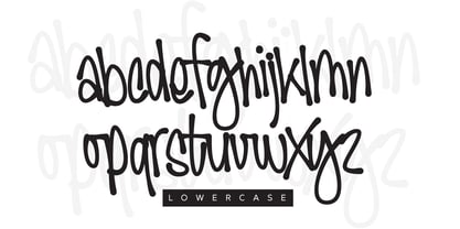 Wildspray Syndrome Font Poster 3