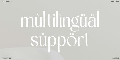 Qallisa Font Poster 5