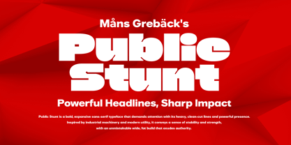 Public Stunt Font Poster 1