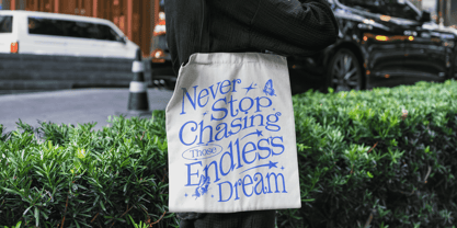 Quenton Serif Font Poster 6