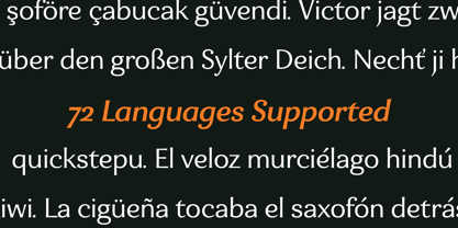 Eniza Variable Font Poster 13