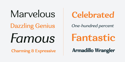 Eniza Variable Font Poster 5