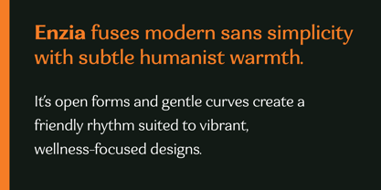 Eniza Variable Font Poster 12