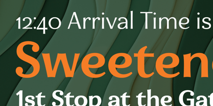 Eniza Variable Font Poster 15