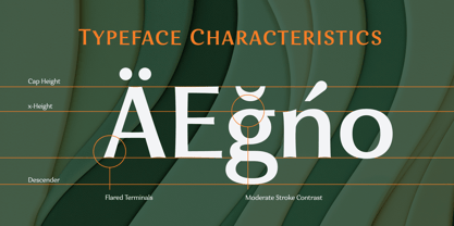 Eniza Variable Font Poster 8