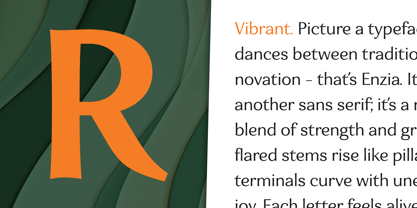 Eniza Variable Font Poster 7