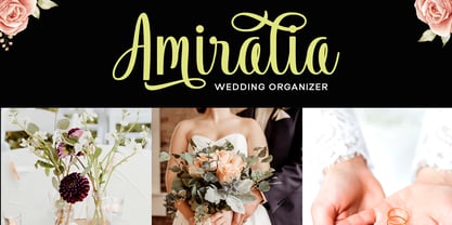 Vendila Script Font Poster 4