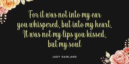 Vendila Script Font Poster 2