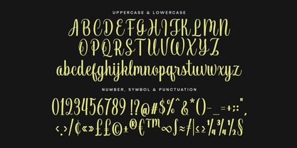 Vendila Script Font Poster 6