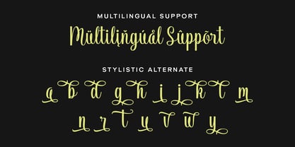 Vendila Script Font Poster 7