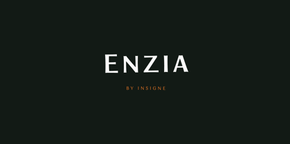 Enzia Font Poster 14