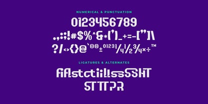 Orchidt Font Poster 3