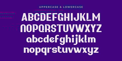 Orchidt Font Poster 2