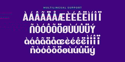 Orchidt Font Poster 4