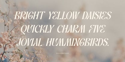Promised Freyna Font Poster 5