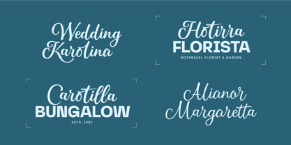 Scritture Grotesk Font Poster 8