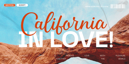 Scritture Grotesk Font Poster 11