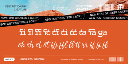 Scritture Grotesk Font Poster 13