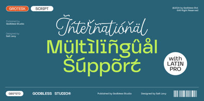 Scritture Grotesk Font Poster 15