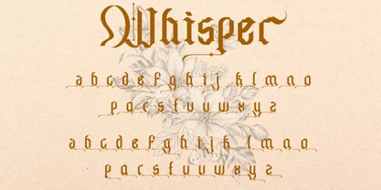 Chameton Font Poster 6